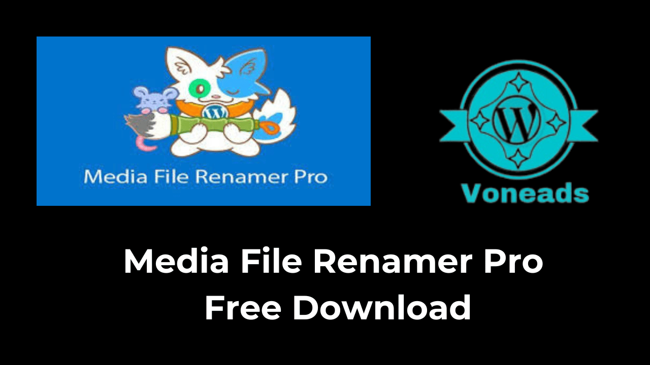 Media File Renamer Pro